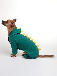 Dragon costume for a dog.