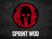 Spartan Sprint Workout of the Day (WOD)