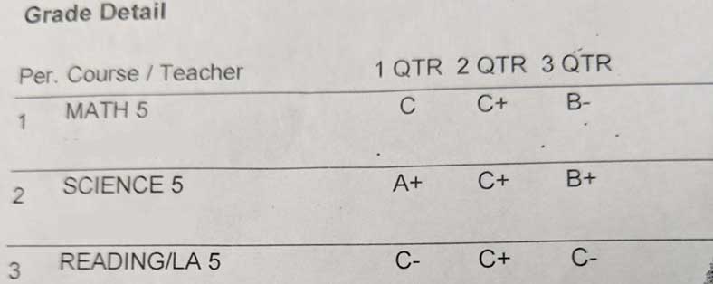 Banner image – report card Banner image - report card