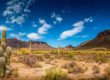 Arizona landscape (photo from Spartan.com)
