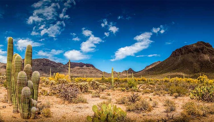 Arizona landscape (photo from Spartan.com) Arizona landscape (photo from Spartan.com)