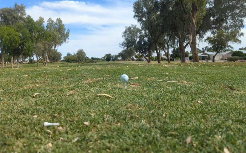 Teed up golf ball at Pueblo El Mirage Golf Course Teed up golf ball